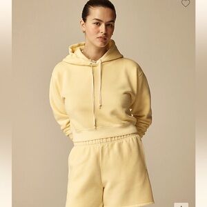 Jcrew Heritage Cropped Hoodie Size Small NWT